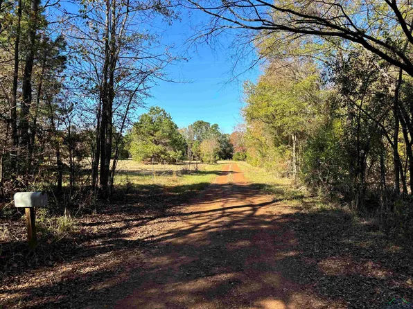133 Scroggins Ln, Marietta, TX 75566