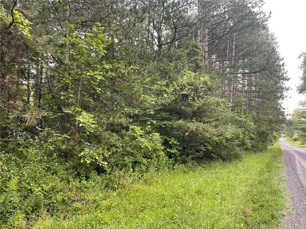 0 Strong Rd, Trumansburg, NY 14886