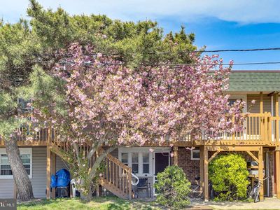 2707 Judlee Ave UNIT 202, Ocean City, MD, 21842