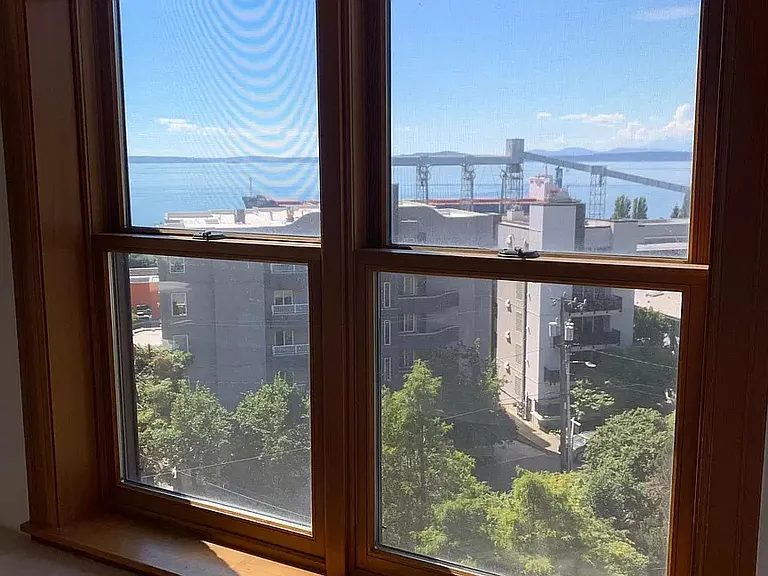 View from the dining area