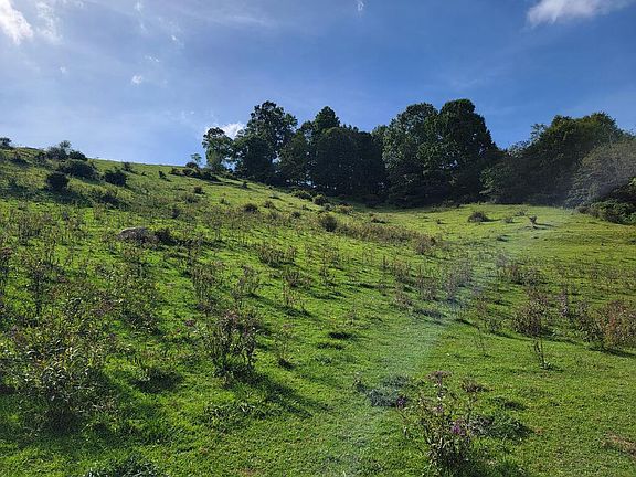 4th image of Tbd Wilson Hwy