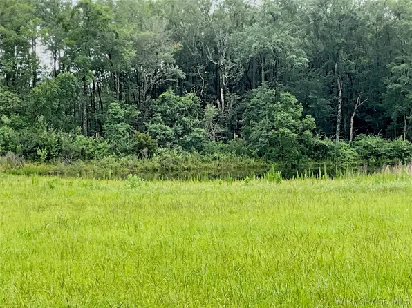 0 Smyrna Rd, Florala, AL 36442