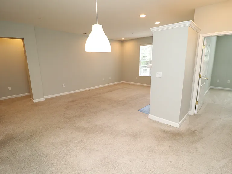 223 Eyam Hall Ln — Photo 9