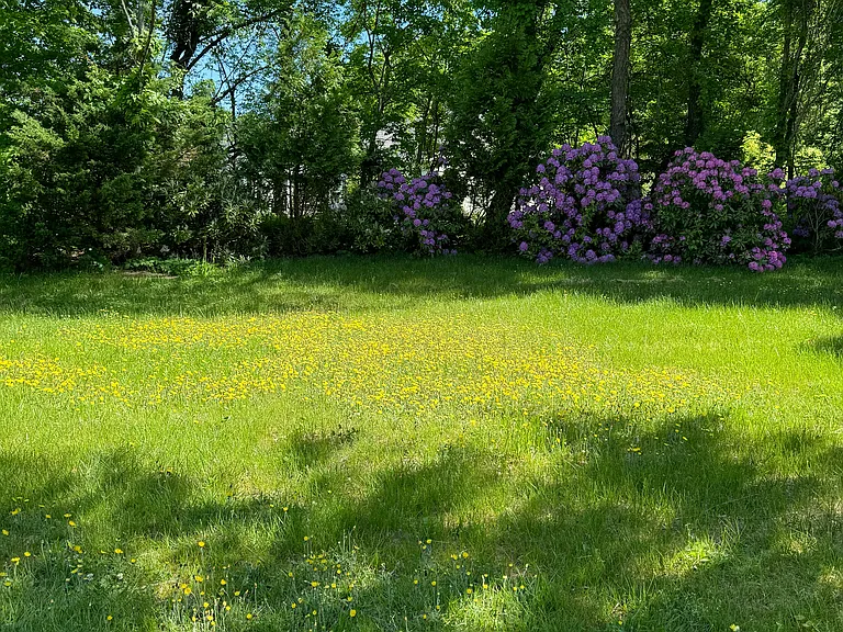 48 Long Plain Rd #1 — Photo 11