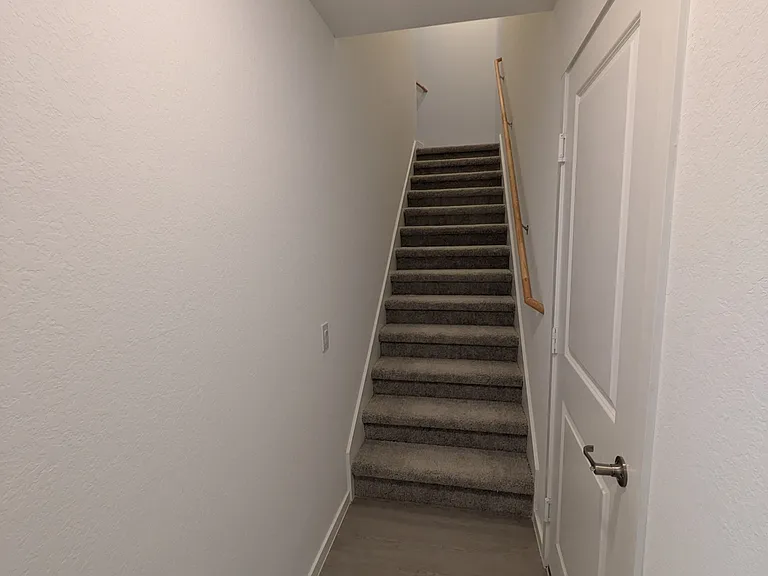 6031 Skipping Way — Photo 7