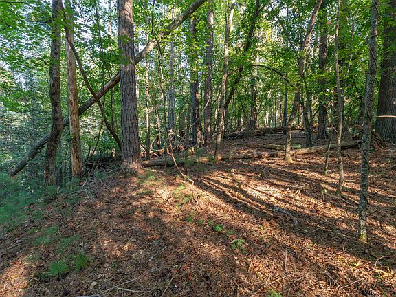 5th image of LOT 3234 Eagle Mountain