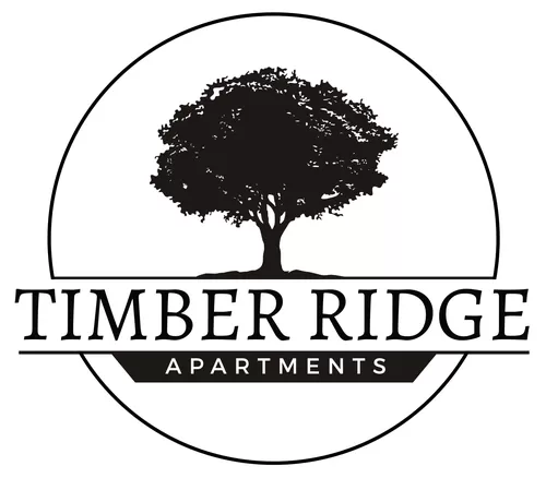 Primary Photo - Timber Ridge