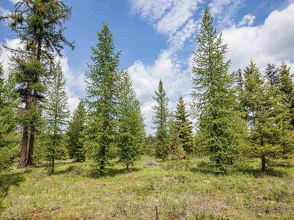 5th image of 929 W Ponderosa Meadows Ln