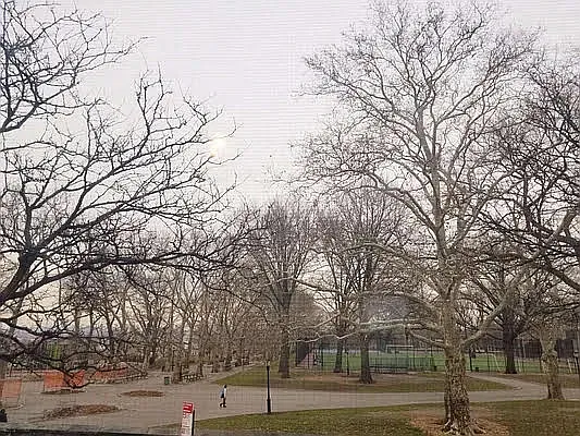 Rented by Virtual Real Estate | media 33