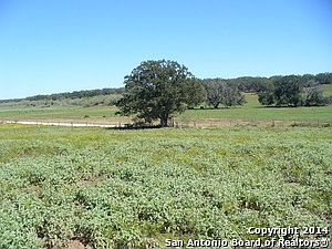 4th image of 345 County Road 442
