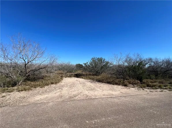 0 Los Frontones St, Rio Grande City, TX 78582