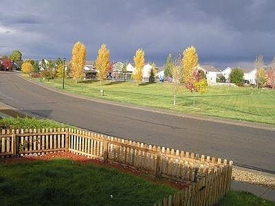 Open park views