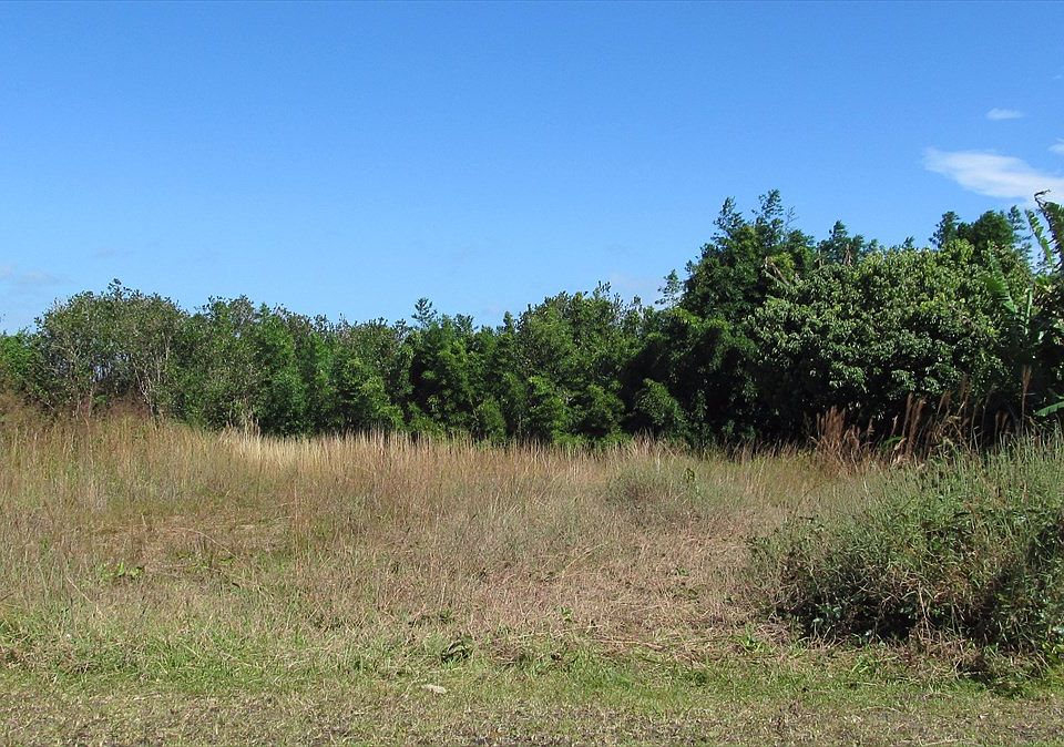 2nd image of Haumalu St Lot 87
