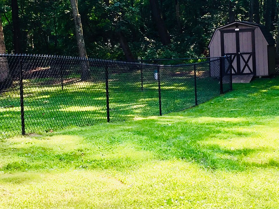 Back yard (Fence Area)