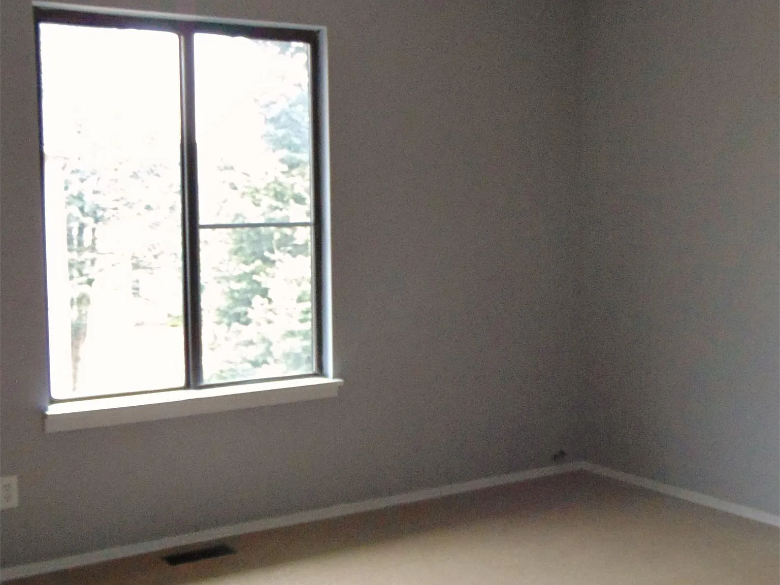 1901 Nancy Ct - 1 — Photo 4