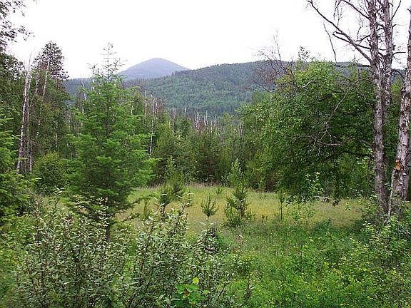 On Property