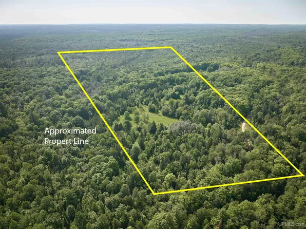 Star Siding Rd, Shingleton, MI 49884