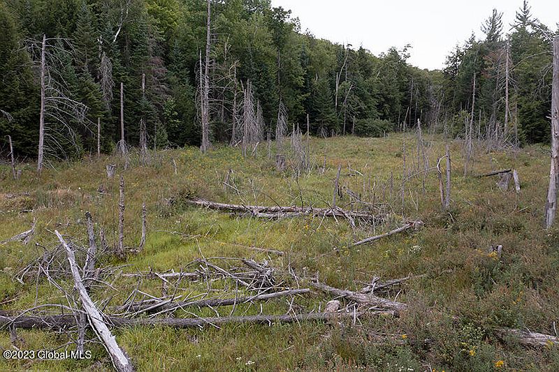 2nd image of L40 Mountain Road