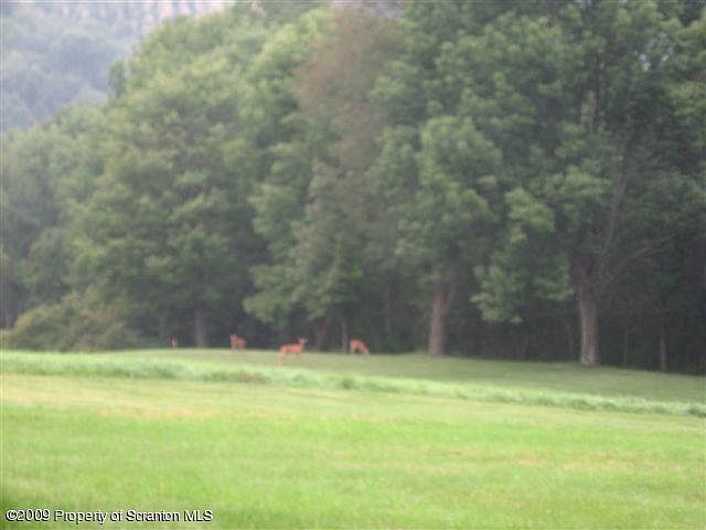 2nd image of Old Orchard Ln