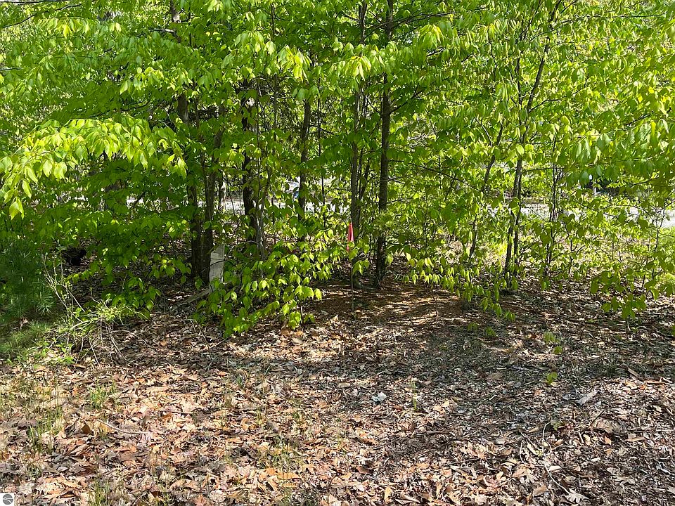 2nd image of 13 Pine Trce