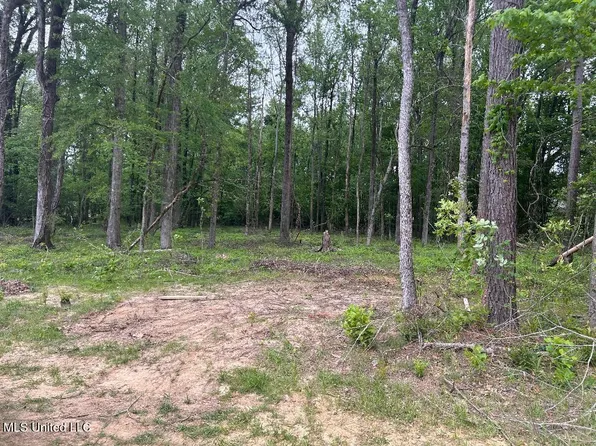 Bridgewater Bnd Lot 2, Ridgeland, MS 39157