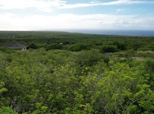 Puukani Rd LOT 19, Naalehu, HI 96772