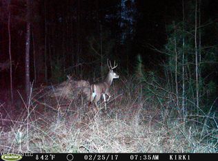 0 Jack Rd, Utica, MS 39175