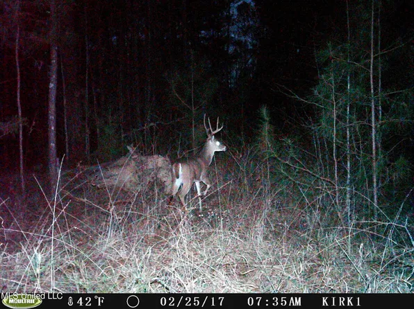 0 Jack Rd, Utica, MS 39175