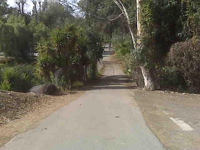StreetView