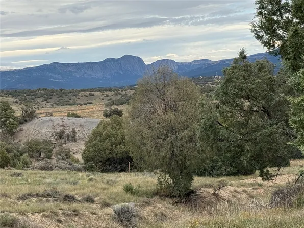 31 Bobcat Ln, Los Ojos, NM 87551