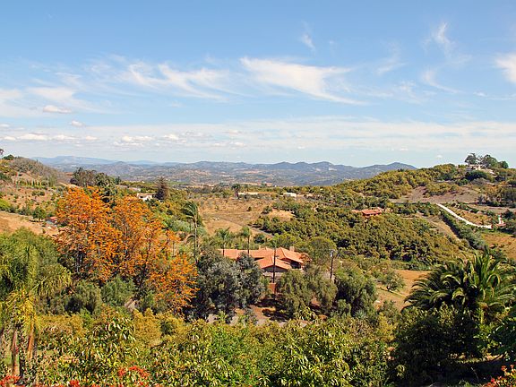 view northeast