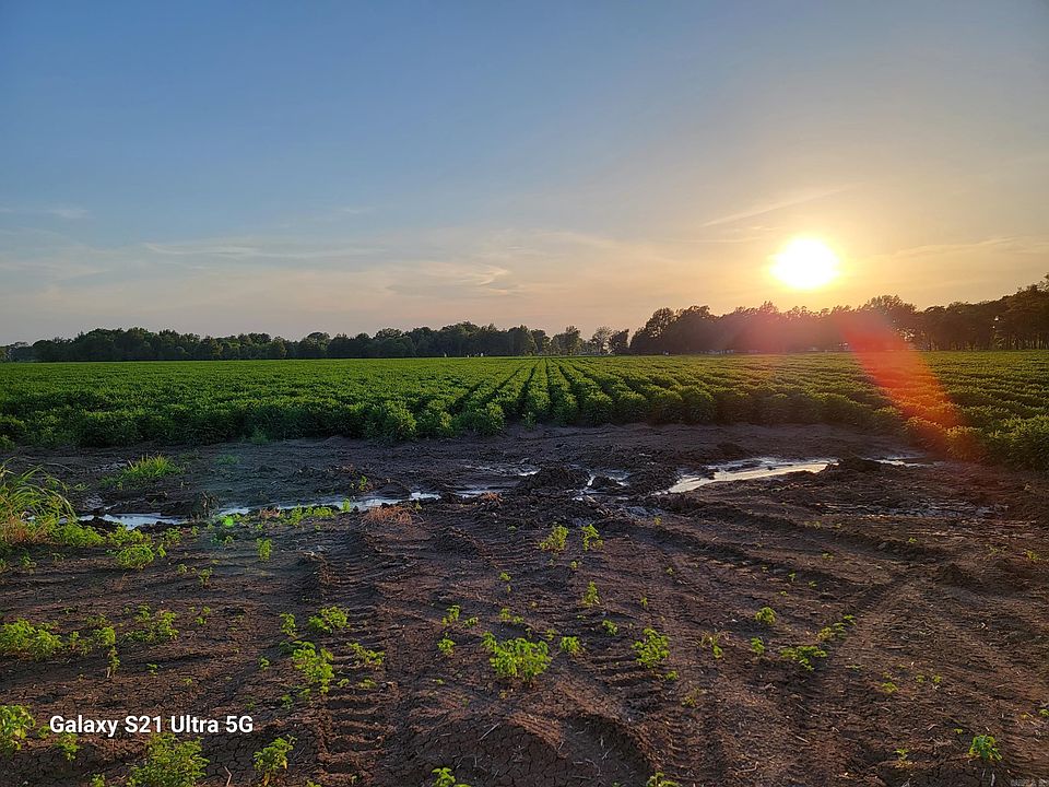 2nd image of Masonville Rd