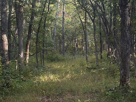 5th image of Tbd Evergreen Dr