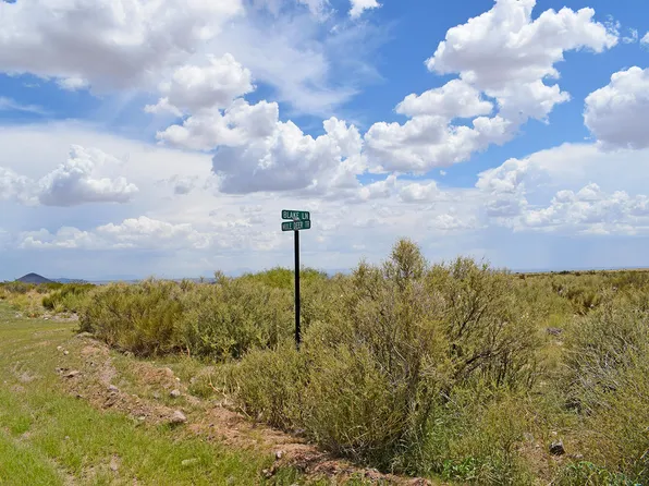 205 Muledeer Trl, San Antonio, NM 87832
