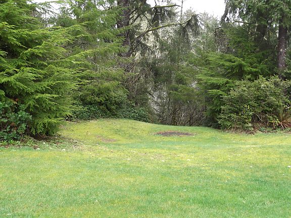 part of back yard