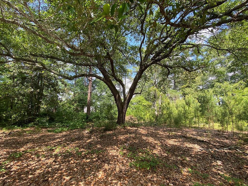 1542 Dibble Rd SW, Aiken, SC 29801 Zillow