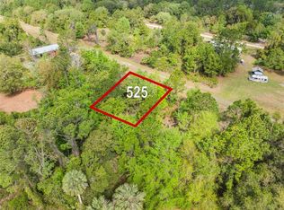 525 Gardenia Ave #9, Georgetown, FL 32139