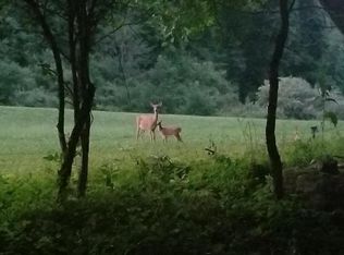 W Mountain Trl, Mc Henry, MD 21541