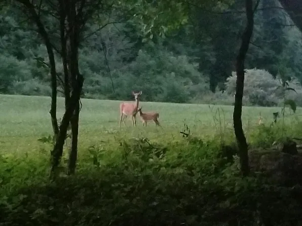 W Mountain Trl, Mc Henry, MD 21541