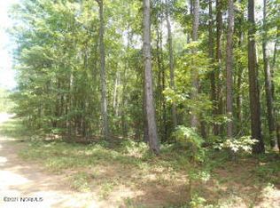 LOT 4 Blewitt Falls Rd, Rockingham, NC 28379