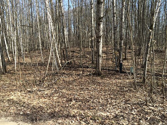 4th image of Sugar Bush Dr