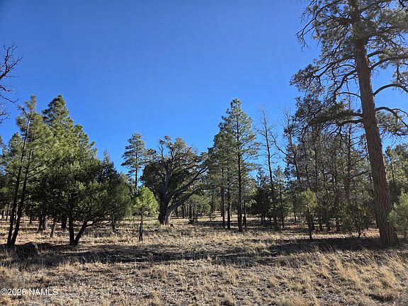 3rd image of 4302 Timberline Dr