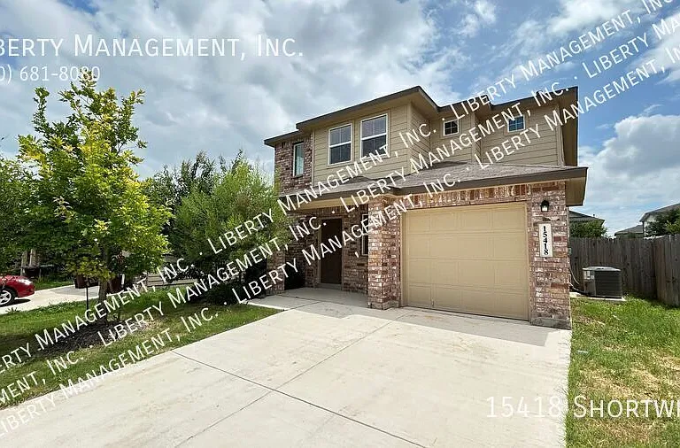 15418 Shortwing — Photo 3