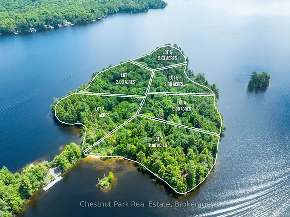 0 Meda Is Lot 3, Muskoka Lakes, ON P0B 1J0