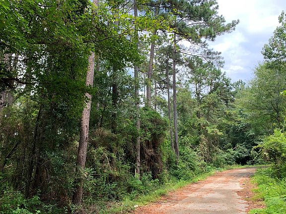 4th image of LOT 14 Bluebonnet St