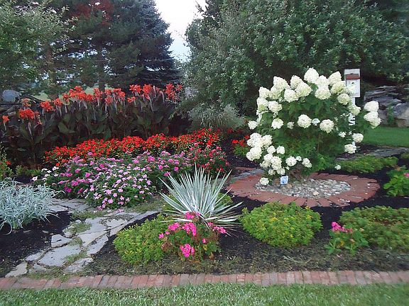 Manicured & Maintained Yard