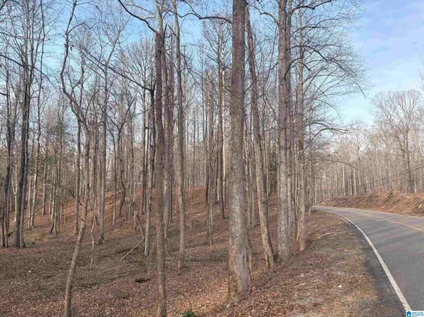 3 Truman Aldrich Pkwy #102, West Blocton, AL 35184