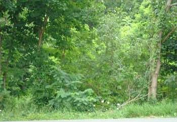 2nd image of 1533 Route 300 #Nys