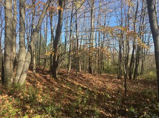 2058 Apple Mill Rd, Constableville, NY 13325