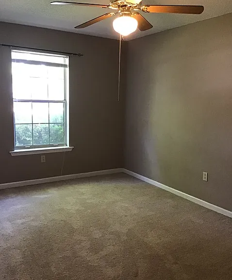 907 Canyon Ct — Photo 11